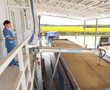 «НІБУЛОН» відправив на експорт 4,66 млн тонн зерна у 2015/16 маркетинговому році